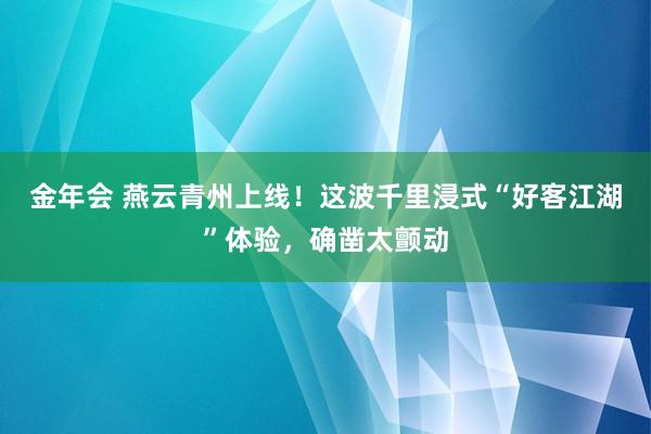 金年会 燕云青州上线！这波千里浸式“好客江湖”体验，确凿太颤动
