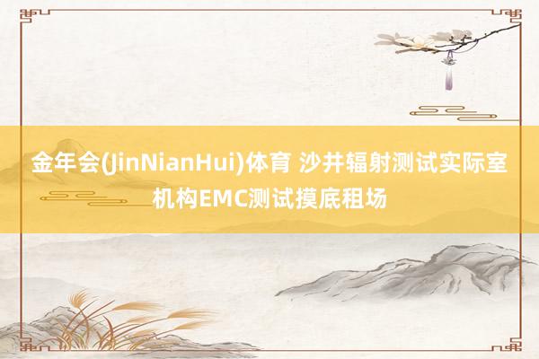 金年会(JinNianHui)体育 沙井辐射测试实际室机构EMC测试摸底租场