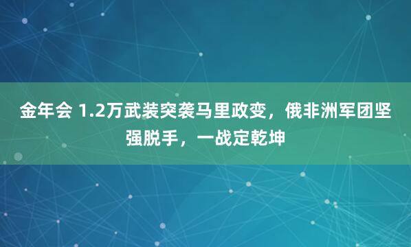金年会 1.2万武装突袭马里政变，俄非洲军团坚强脱手，一战定乾坤