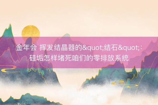 金年会 挥发结晶器的"结石"：硅垢怎样堵死咱们的零排放系统