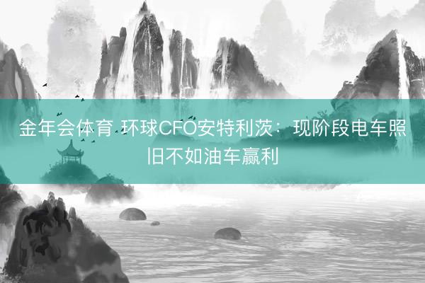 金年会体育 环球CFO安特利茨：现阶段电车照旧不如油车赢利